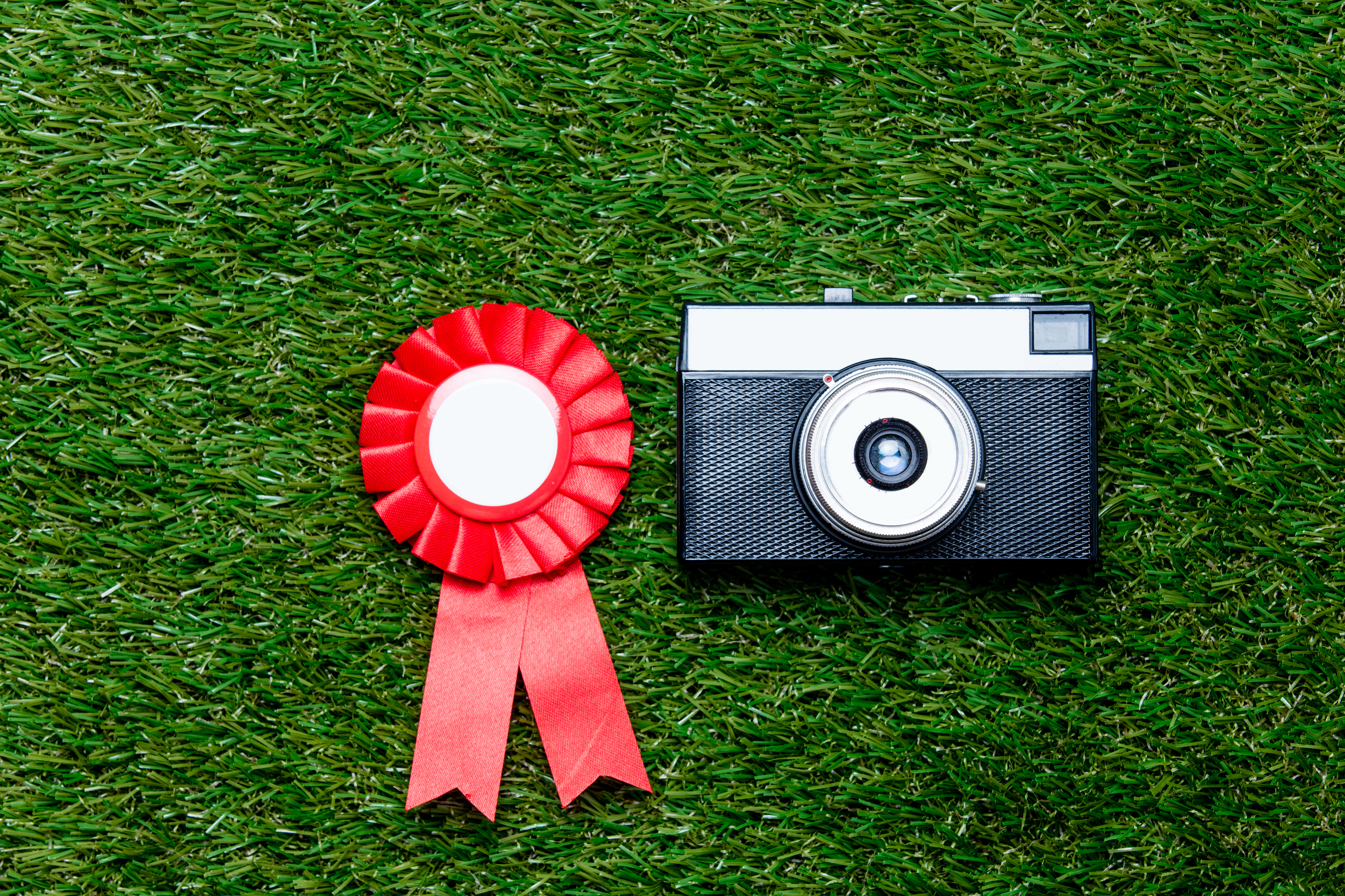 Ribbon beside a camera on grass