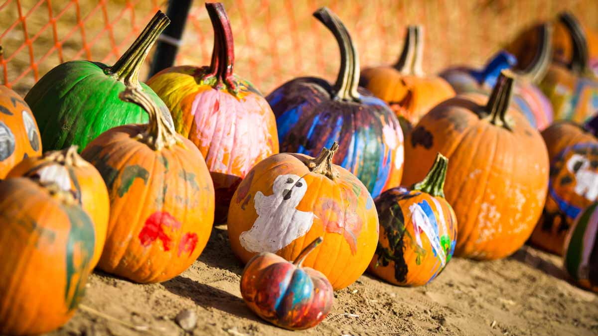 Pumpkins